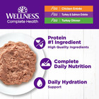 Complete Health Pate Variety Pack Adult Canned Wet Cat Food  Natural  Protein Ri