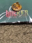 Wicked For Good Pin Limited Edition Re Release Showing