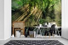 3d Forest Sunlight Wallpaper Wall Mural Removable Self-adhesive 107