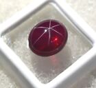 Loose Gemstone Natural 6 Rays Red Star Ruby 13 45 Ct Oval Cabochon