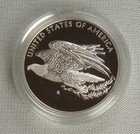 2016-s American Liberty 1 Oz  999 Silver Medal Gem Proof