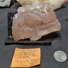 Pink Agatized Petrified Limb Cast W  Dendric Specimen Natural Form