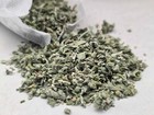 Fresh Premium California Catnip  2 Free Cat Toys  Silvervine Feather Chew Sticks