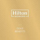 Hilton Diamond 365 Day