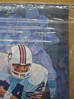 Vintage Collectors Series Poster 1972 Miami Dolphins Rare Football Nfl  18927