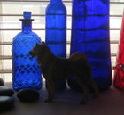 Vtg Cobalt Blue Quilted Poison 7 1 8  Tall Glass Bottle W nick On Lip beautiful
