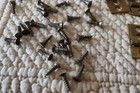 Lot   11 Vtg Small 1  Hinges W  Screws Brass Salvage From Pump Organ Swell