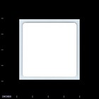 Square Color Photo Woman In Dress And Glasses