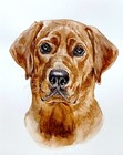 Custom Pet Portrait From Your Photo Original Watercolor Painting Dog  Cat