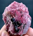 639 Carat Bunch Of Pink Tourmaline Crystal Specimen From Afghanistan