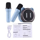 Karaoke Machine With 2 Wireless Microphones Bt Microphone And Speaker Ktv Usrt