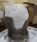 1 5kg Dino Egg Artisanal Coconut Sea Salt Bohol Philippines - Fast Free Dhl