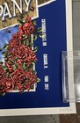 Dead   Company 2017 Tour Poster   3100 Camden Boston Chicago Bill Walton Estate