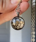 Crinoid Star Fossil Locket Necklace