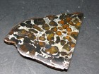Large Sericho Meteorite Pallasite Olivine Slice From Kenya - 2 8  - 20 07 Grams