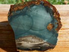 Tcr  Blue Mountain Jasper  Rough Slab 99g     Vibrant Color W  Natural Orbs oregon