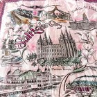 Vintage Salt Lake City Souvenir Pink Silky Pillow Cover Fringe Attractions