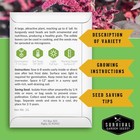 Red Amaranth Seeds For Planting - Survival Garden  1 Pack  Red