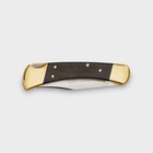 Buck 110 Folding Pocket Knife Classic Lockback Free Ship
