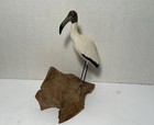 Vintage Hand Carved And Painted Wood Woodstork 6  Bird Figurine Signed Whitton
