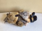 Vintage 5 Way Jointed Brown Furry Teddy Bear Plush Stuffed Animal Toy 13  Tall