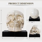 Skull Book Ends  Decorative Bookends For Shelves  Antique Gothic Style Skull    