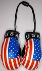 1 Usa Mini Boxing Gloves   1 Usa Mini Flag 4x6
