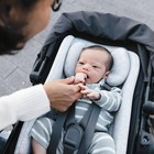 Uppababy Infant Snug Seat Insert