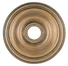Lighting 8219-48 Ceiling Medallion  Antique Leaf Gold