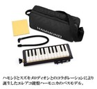 Hammond Pro-24b Bass Melodion Keyboard Harmonica New