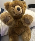 Steiff Molly Teddy Bear  0330 32 Golden Brown Fur Vintage 80   s Soft Excellent