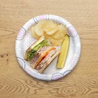 Disposable Paper Plates 10 Inch 100 Count Heavy Duty Bulk Dinner Party Plates