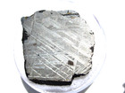 9 67 Grams Muonionalusta Meteorite Iron Sweden Cut Etched Slice Light Rust Coa