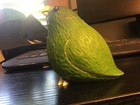 Collectible Enesco Home Grown Avocado Parrot Figurine Green 4017520 Read Descrip
