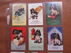 Lot 9 Staehle Butch Advertising  Swap Playing Cards   9