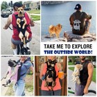 Pet Carrier Backpack Adjustable Pet Front Cat Dog Carrier Travel Bag Legs Out Us
