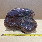 Fantastic Piece Of Red Petrified Wood