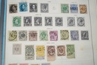 Belgium 1850-1960s Collection Of 925  Stamps Mint   Used Stored On Album Pages