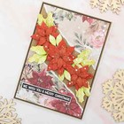 Sizzix 3-d Impresslits Poinsettia By Kath Breen Embossing Folder 665354 New