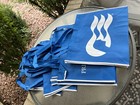 Princess Cruises Tote Bags - Set Of Ten