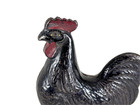 Antique Cast Iron 5  Cast Iron Rooster Still Bank  Original Paint   Screw Arcade