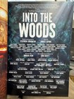 Into The Woods- West End Color Programme 2026 Musical 