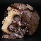 3 0  Dragon Septarian Stone Carved Crystal Skull  Realistic  Crystal Healing