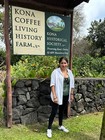 100  Kona Peaberry Coffee Beans Medium Roast Whole Bean Fresh Gourmet 1 Lb Bag