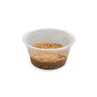 Bsf Eggs 5g  1 Pod  Black Soldier Fly