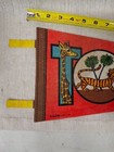 Vintage Toledo Zoo  Ohio 1974 Pennant Flag 24  Long America s Most Complete Zoo