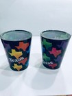 Texas Shot Glass Set Of 2 - Texas Souvenir 