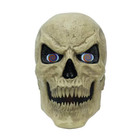 Home Depot 12ft Skeleton Replacement Scary Head Lcd Life Eyes Remote Repair Part