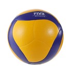 Mikasa V200w Original Volleyball Ball Professional Volleyball Ball Size 5