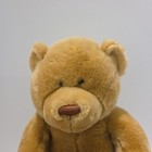 Vtg 2000 Animal Alley Toys R Us 21  Teddy Bear Plush Tan Stuffed Animal